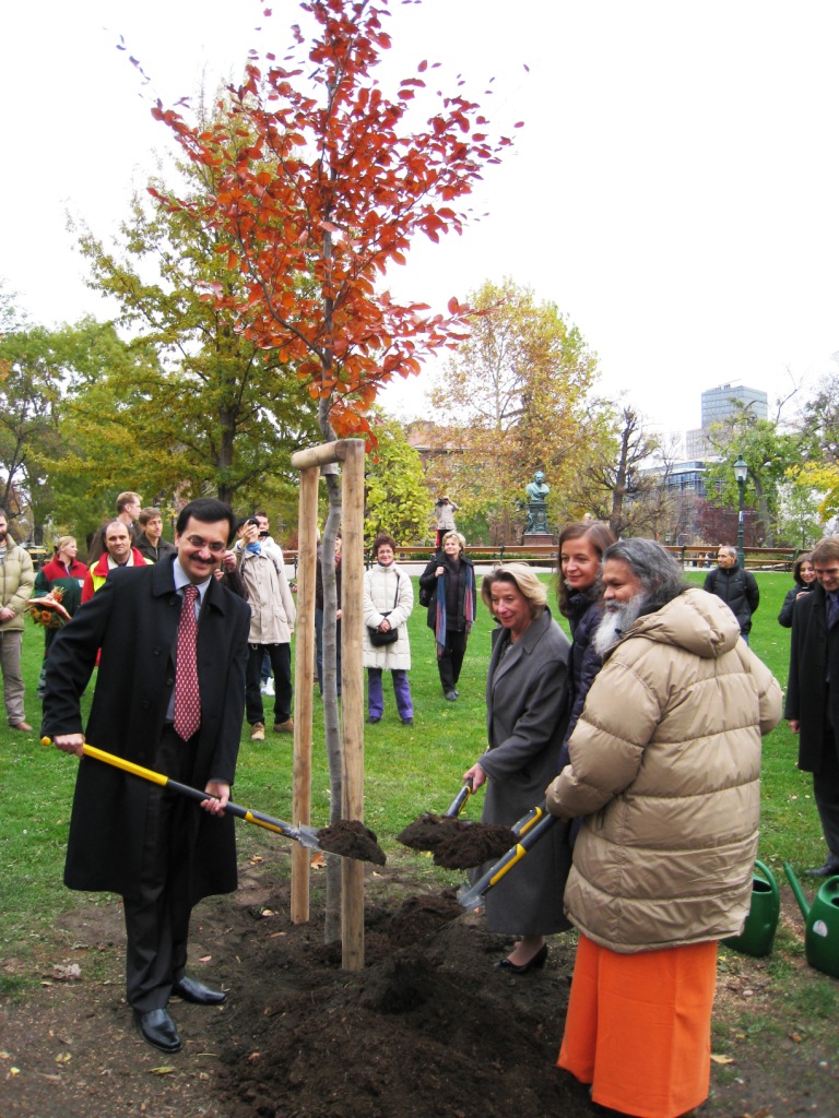 VIENNA peace tree 2009 11 18