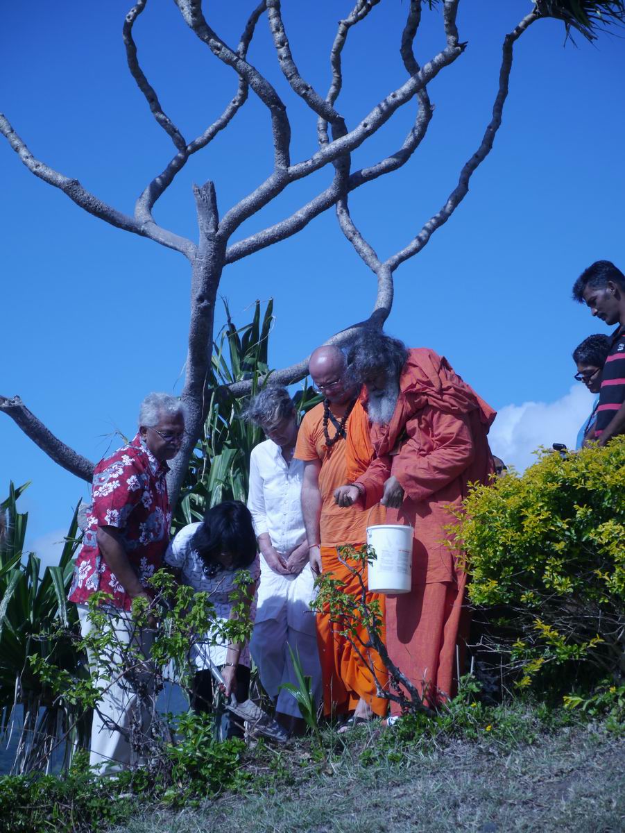 Fiji Peace Tree Planting