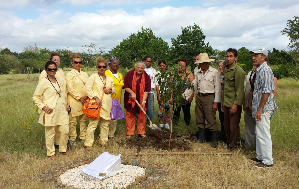 Sadhvi Planting