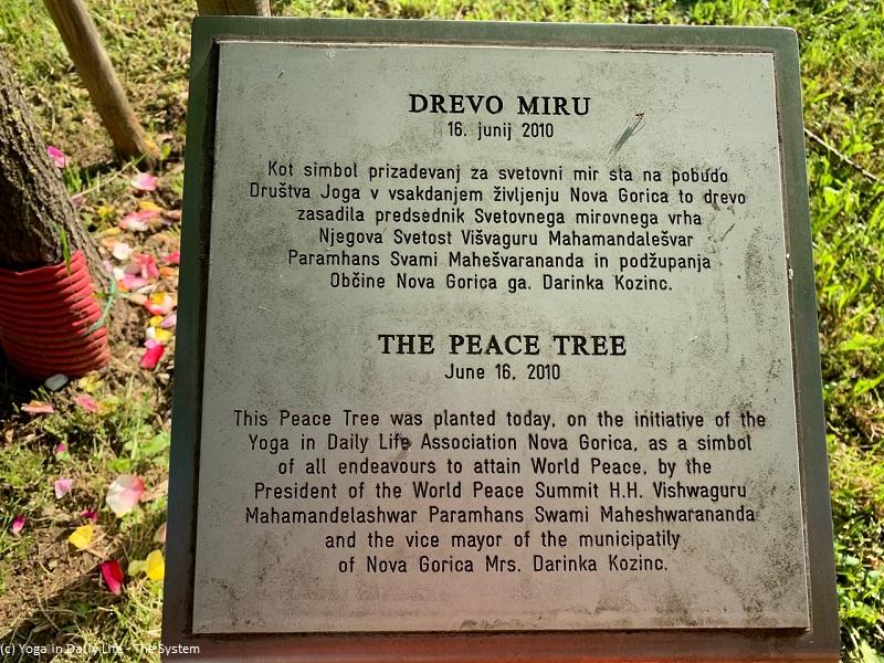 nova gorica peace tree 2