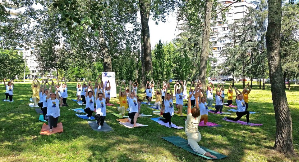 idy novi sad serbia