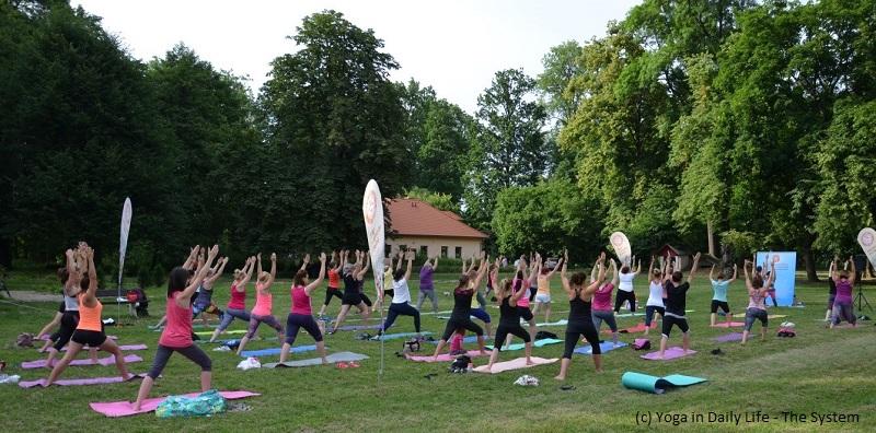 idy holesov czech