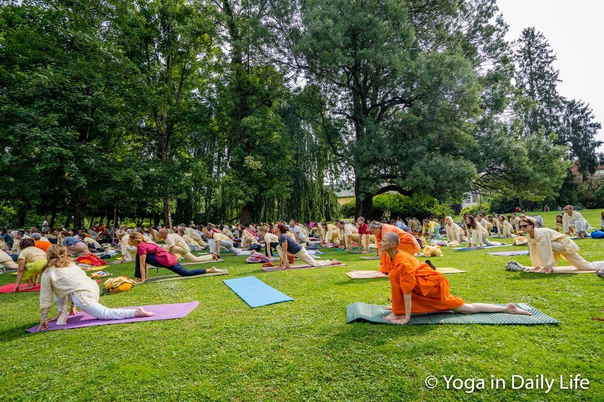 Summary of recent festivals and yoga retreat