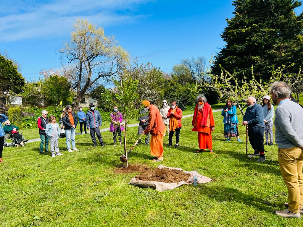 2022 10 03 raumati beach weka park new zealand 1