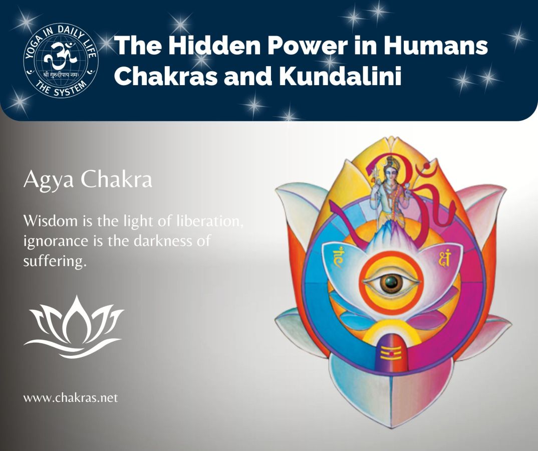 12. agya chakra