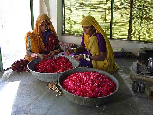 Preparing roses for celebration