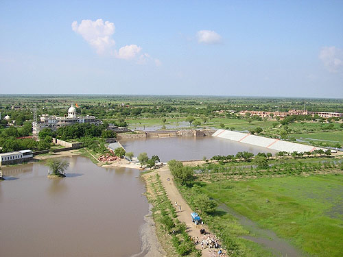 Water brings life to the desert