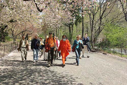 Walking through Central park