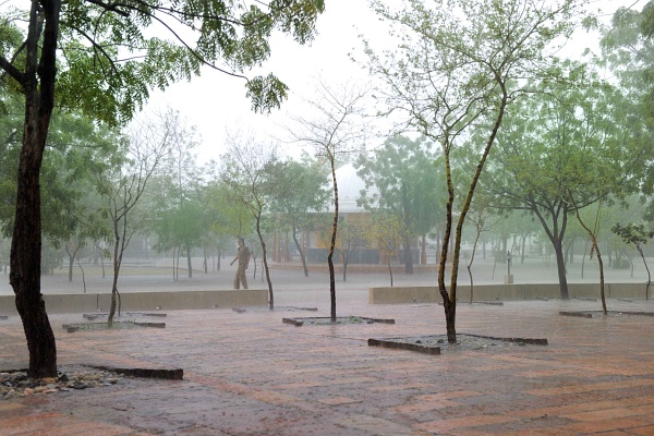 Heavy monsoon rains bring relief to thirsty nature and people in Jadan ashram