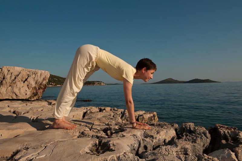 as chatushpadasana