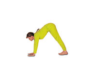 Chatushpadasana